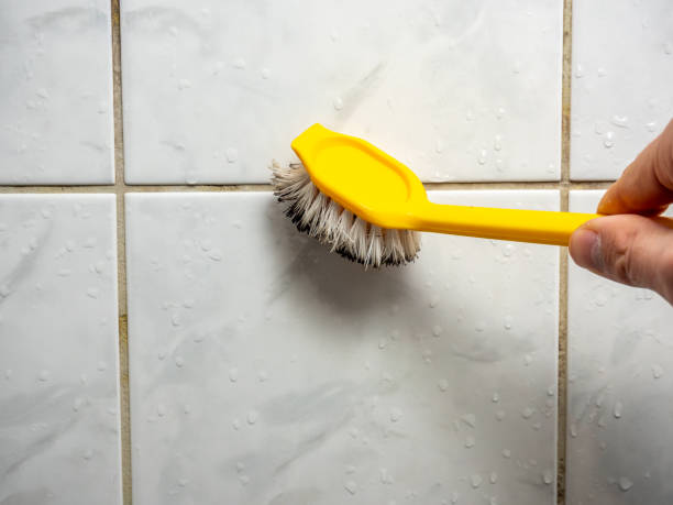 Attic Mold Removal in Billings, MT